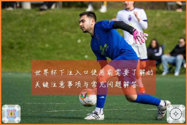 世界杯下注入口使用前需要了解的关键注意事项与常见问题解答
