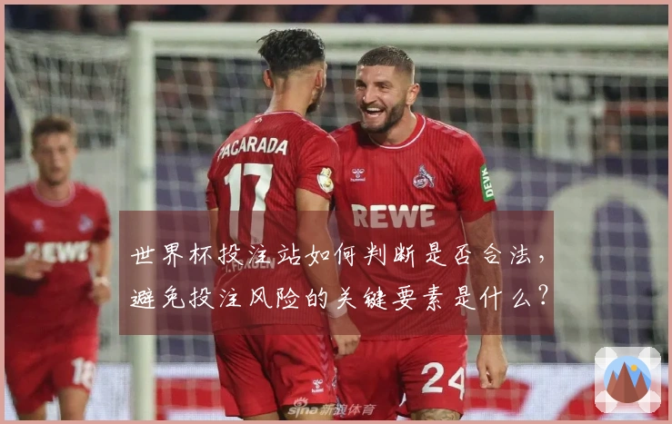 世界杯投注站如何判断是否合法，避免投注风险的关键要素是什么？