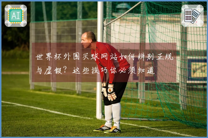 世界杯外围买球网站如何辨别正规与虚假？这些技巧你必须知道
