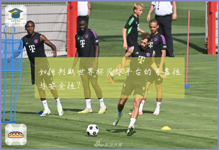 如何判断世界杯买球平台的可靠性与安全性？