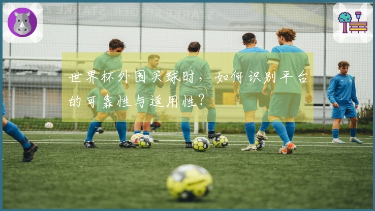 世界杯外围买球时，如何识别平台的可靠性与适用性？