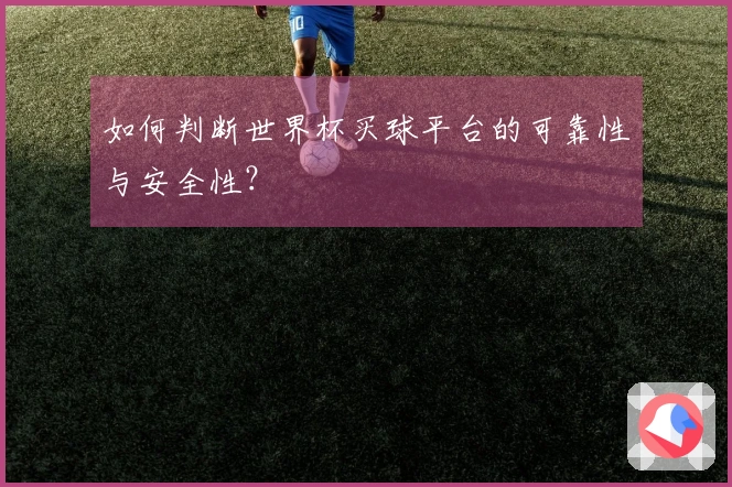如何判断世界杯买球平台的可靠性与安全性？
