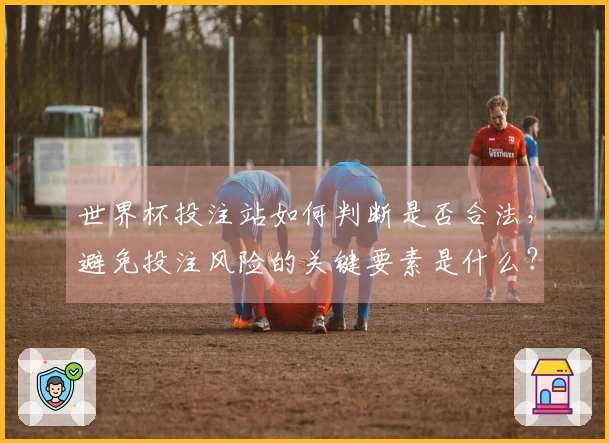 世界杯投注站如何判断是否合法，避免投注风险的关键要素是什么？