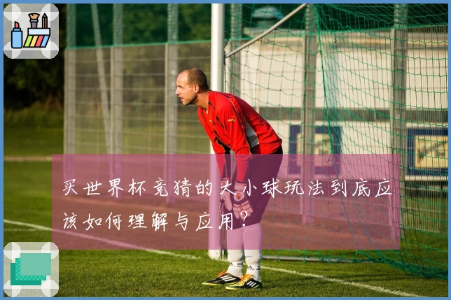 买世界杯竞猜的大小球玩法到底应该如何理解与应用？