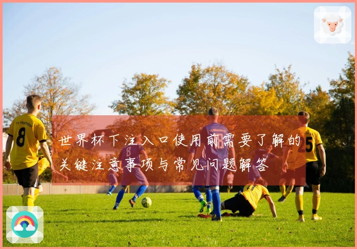 世界杯下注入口使用前需要了解的关键注意事项与常见问题解答