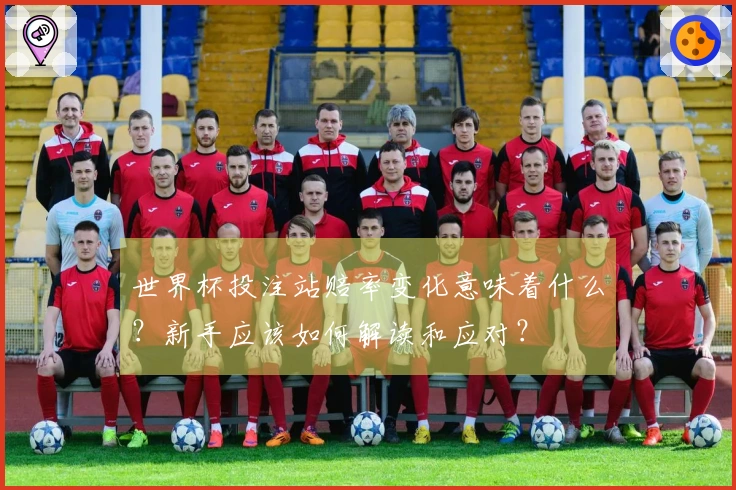 世界杯投注站赔率变化意味着什么？新手应该如何解读和应对？
