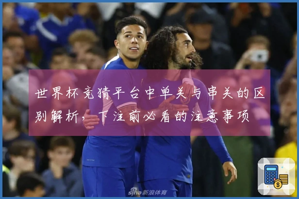 世界杯竞猜平台中单关与串关的区别解析，下注前必看的注意事项