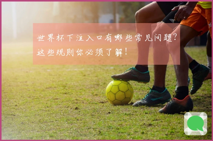 世界杯下注入口有哪些常见问题？这些规则你必须了解！