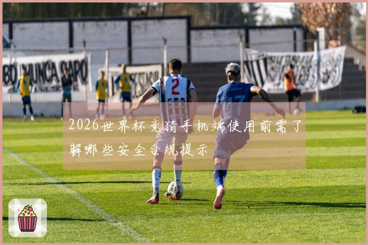 2026世界杯竞猜手机端使用前需了解哪些安全合规提示