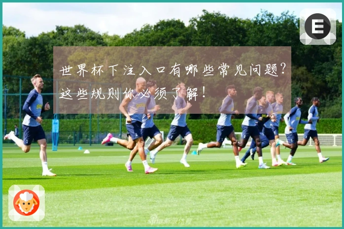世界杯下注入口有哪些常见问题？这些规则你必须了解！