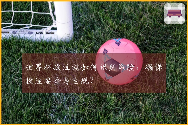 世界杯投注站如何识别风险，确保投注安全与合规？