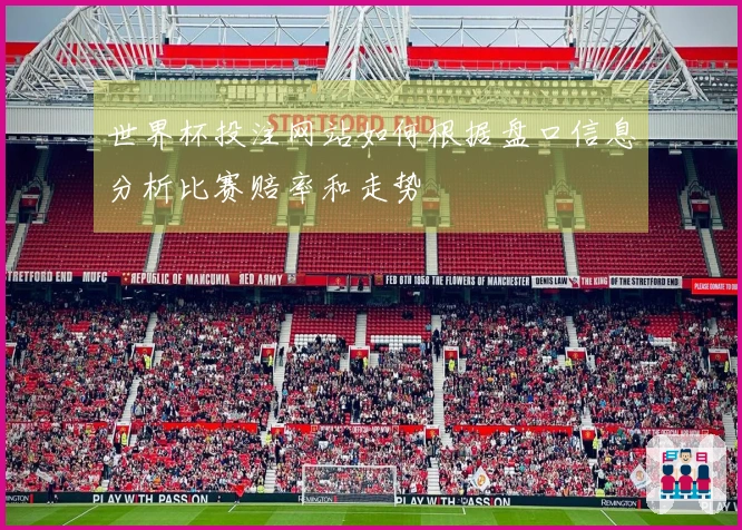 世界杯投注网站如何根据盘口信息分析比赛赔率和走势