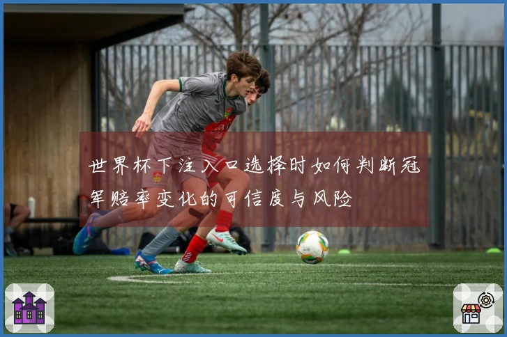 世界杯下注入口选择时如何判断冠军赔率变化的可信度与风险
