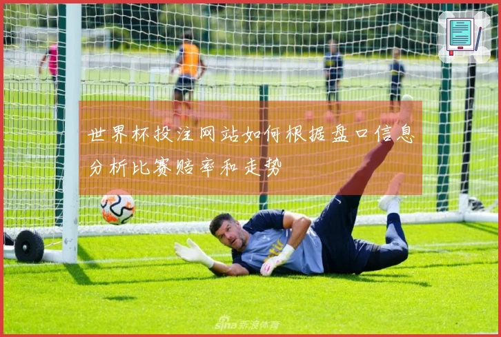 世界杯投注网站如何根据盘口信息分析比赛赔率和走势
