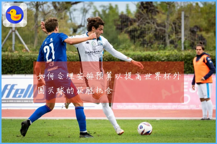如何合理安排预算以提高世界杯外围买球的获胜机会