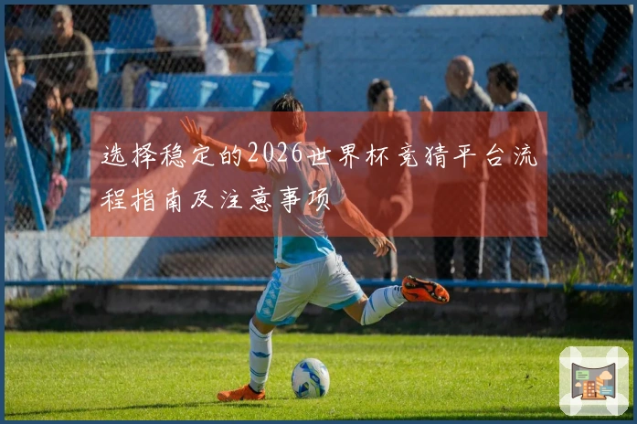 选择稳定的2026世界杯竞猜平台流程指南及注意事项