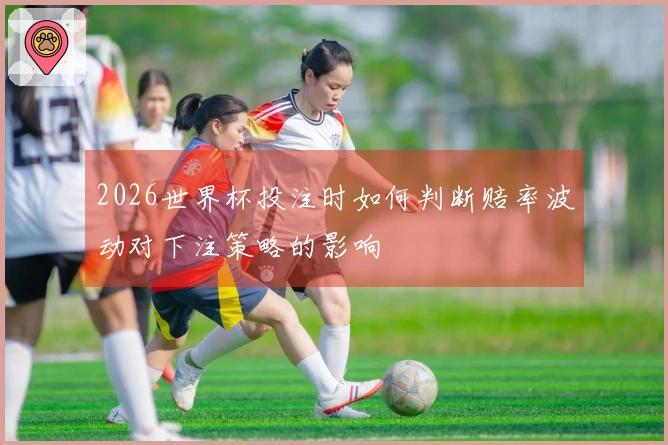2026世界杯投注时如何判断赔率波动对下注策略的影响